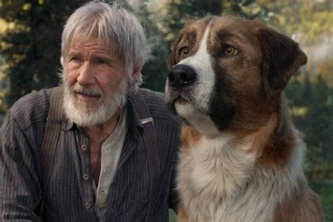 Harrison ford has been one of the most widely recognized faces in hollywood for decades. Harrison Ford vira amigo de cachorro fofíssimo em trailer ...