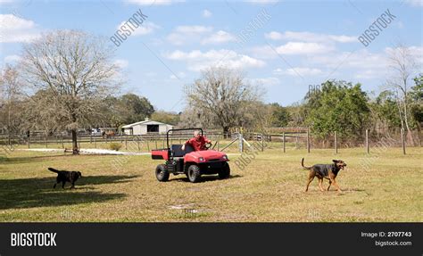 Farmer And His Dogs Image And Photo Free Trial Bigstock