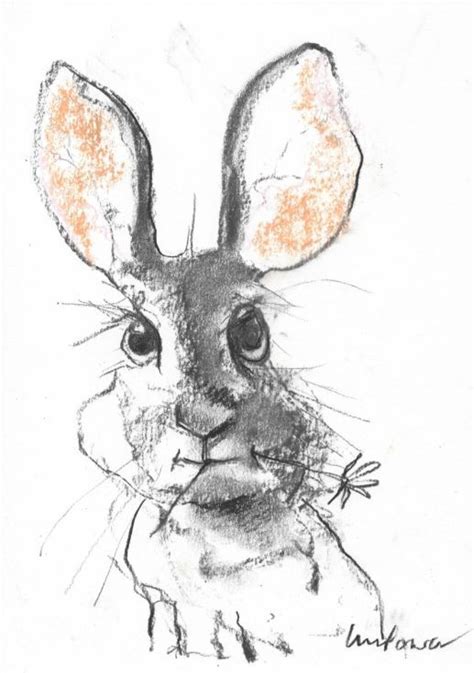 Buy Hare 19 A4 Charcoal Hare Study Charcoal Drawing By Luci Power