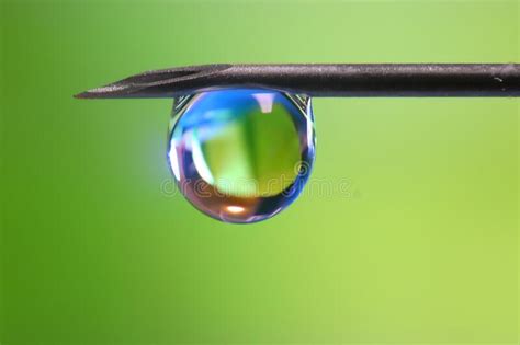 Water Drop On A Needle Stock Image Image Of Clear Nature 175332993