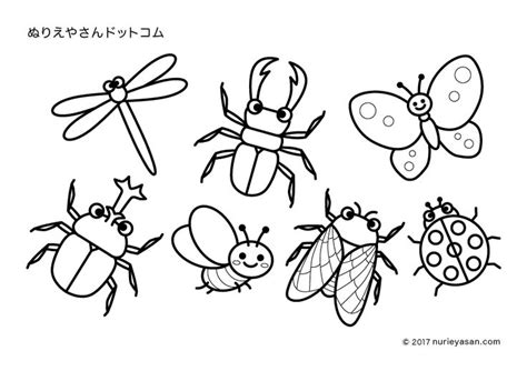 Explore tweets of h工口萝莉 @h15640963 on twitter. 塗り絵 「昆虫の仲間たち」 | 塗り絵, 夏の虫, 塗り絵 無料