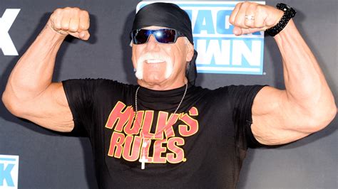 The Only Hulk Hogan Movies Rotten Tomatoes Considers Fresh