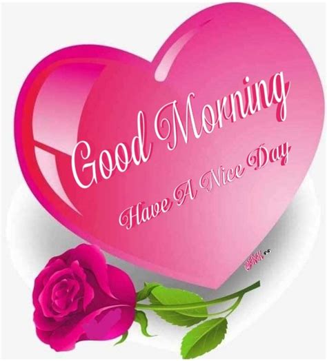 Pin by Raj Kiran on Good morning in 2021 | Good morning love, Good morning greetings, Good morning