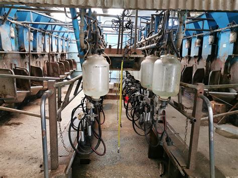 Dairy Focus Updating The Milking Parlour After 50 Years Of Service