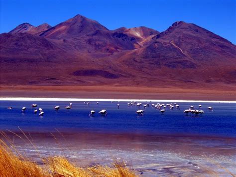 Salar De Uyuni Bolivia Salt Desert