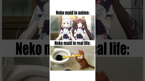 Details More Than Cringe Anime Memes In Coedo Vn