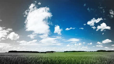 Online Crop Green Grass Landscape Sky Clouds Field Hd Wallpaper