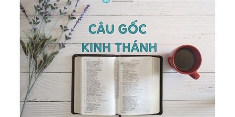 Những Câu Kinh Thánh Về Thiên Đàng Hội Thánh Tin Lành Giao Ước Việt