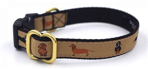 Mini Dachshunds Dog Collar Biggles And Bailey