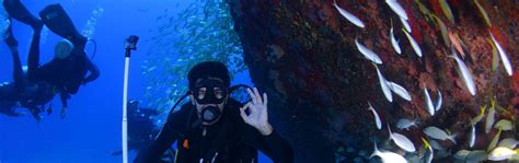 Padi Open Water Vs Advanced Open Water Diving Koox Diving
