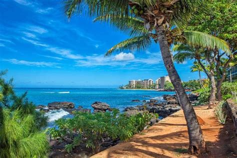 Amazing Oceanfront Condo In West Maui Has Internet Access And Dvd
