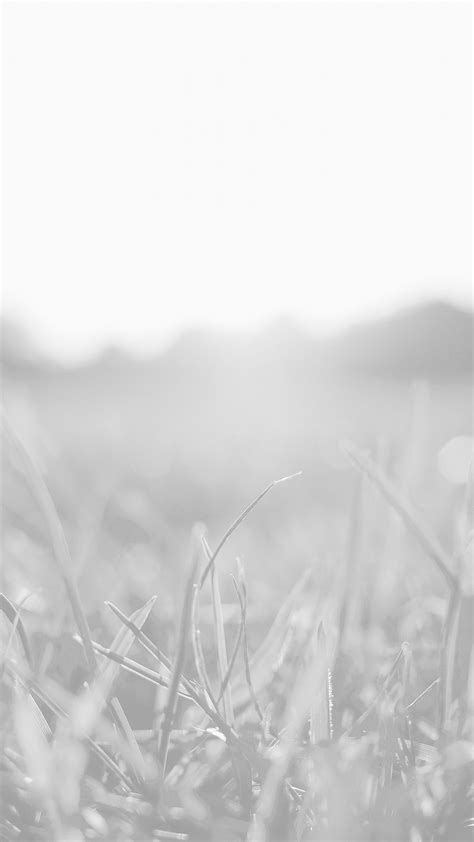 The great collection of white android wallpaper for desktop, laptop and mobiles. Grass White Bokeh Light Summer Nature Android wallpaper ...