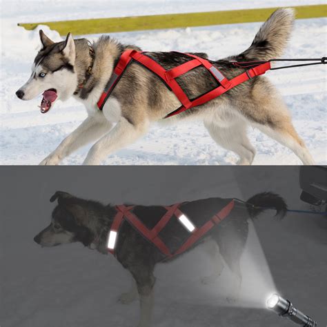Dog Sled Harness Pet Weight Pulling Sledding Harness Husky Etsy Canada