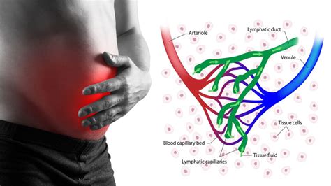 How Lymph Drainage Can Fix Bloating And How To Do It 6 Minute Read