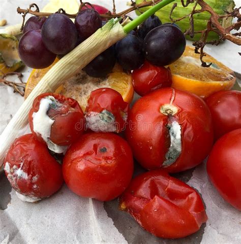 Different Sorts Of Rotten Fruit And Vegetables Stock Image Image Of