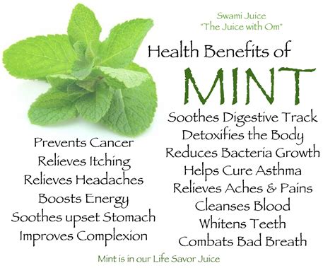 Health Benefits Health Benefits Of Mint