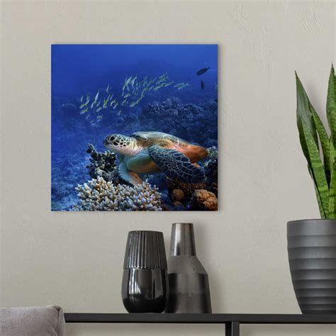 Big Sea Turtle Underwater Wall Art Canvas Prints Framed Prints Wall