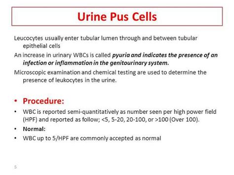 Urine Test Report Pus Cells Range