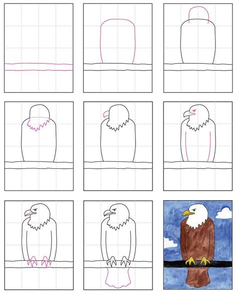 How To Draw A Eagle Easy Step By Step Fitzgerald Dearthe