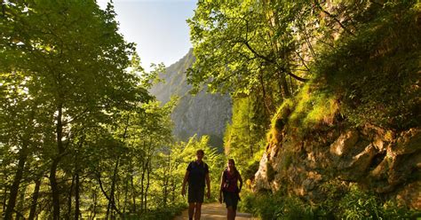 Hiking In Hallstatt Your Holiday In Hallstatt Austria