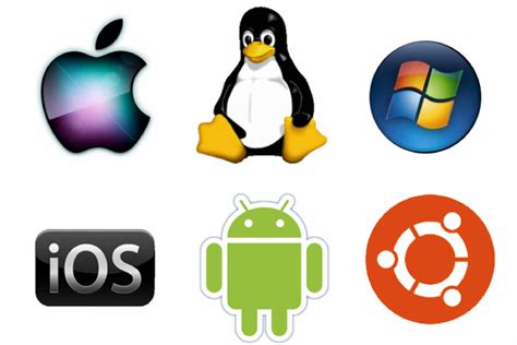 The Operating System Computer Applications Primer