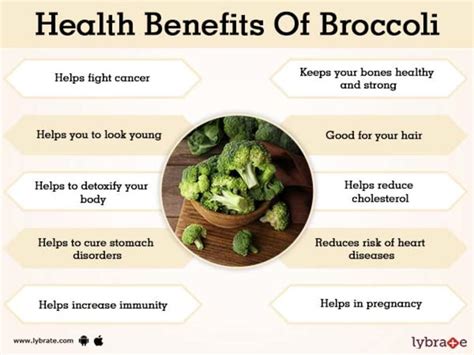 Benefits Of Broccoli And Its Side Effects Lybrate