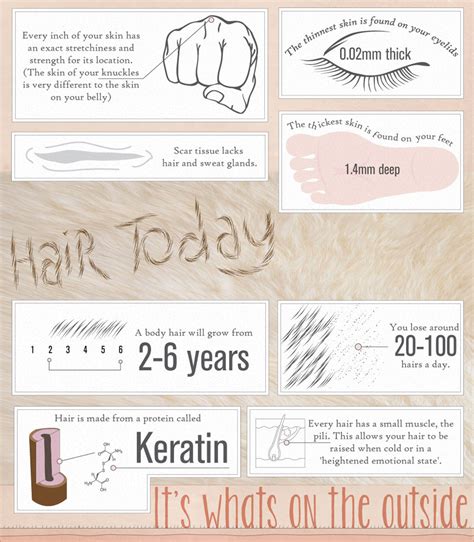 50 Incredible Facts About Skin Did You Know That Science Junkie