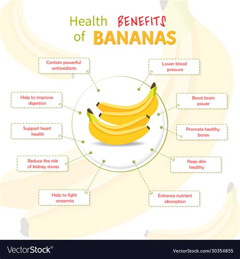 Health Benefits Banana Bananas Nutrients Vector Image