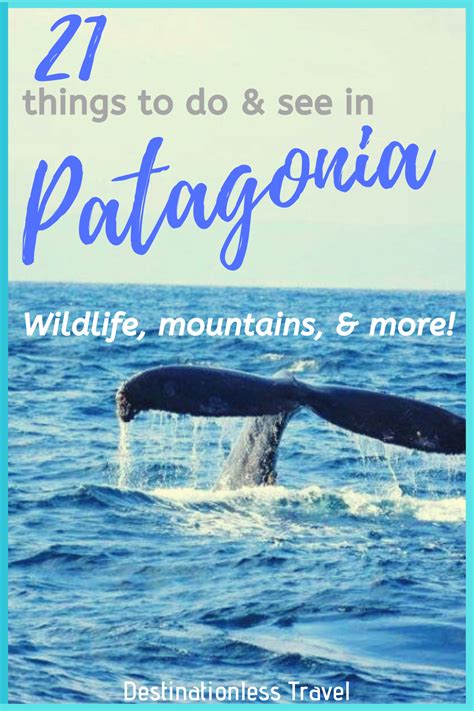 22 Amazing Things To Do In Patagonia Our Patagonia Highlights In