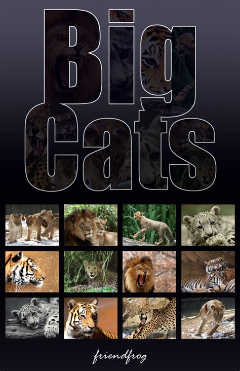 Big Cats Calendar By Friendfrog On Deviantart