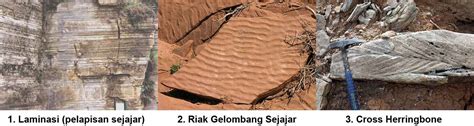 Batuan Sedimen Dilengkapi Pengertian Proses Terbentuknya Struktur Klasifikasi Ciri Dan