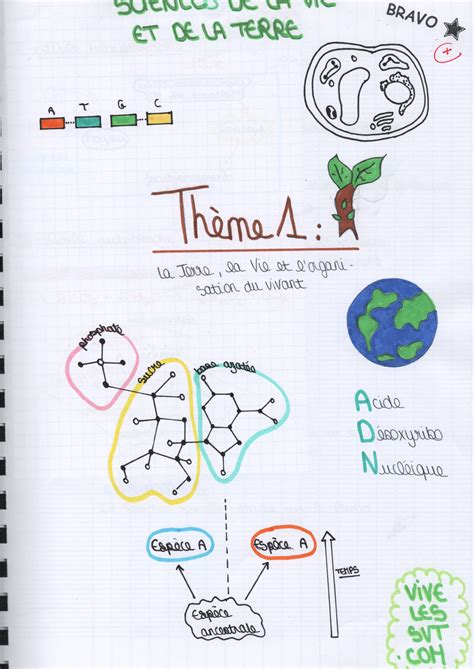 Le Programme De Seconde En Svt Vive Les Svt Les Sciences De La Vie