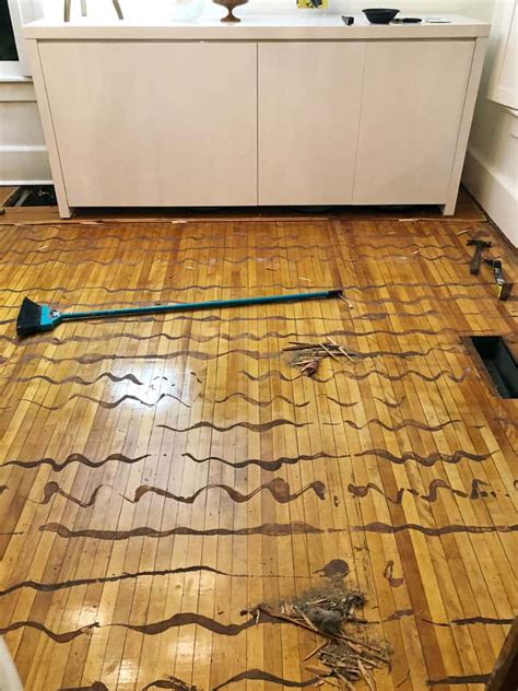 Maybe you would like to learn more about one of these? So I Ripped Up My Pine Floors on a Whim. As One Does. |The ...
