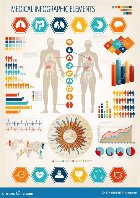 Medical Infographic Set With Charts And Other Elements Human Body With