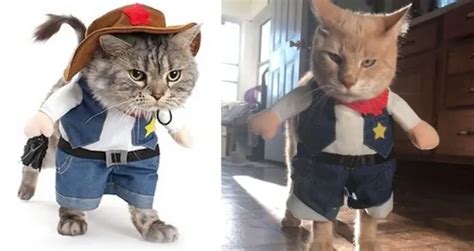 This Cowboy Cat Costume Turns Your Kitty Into The Cutest Gunslinger In