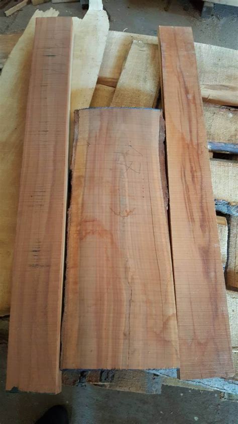 Unfinished Walnut Wood Unedged Lumber Mijatovic Ltd Wood Supplier