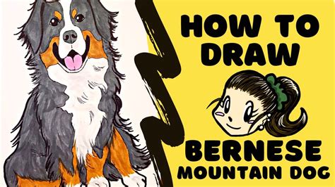How To Draw Bernese Mountain Dog Youtube