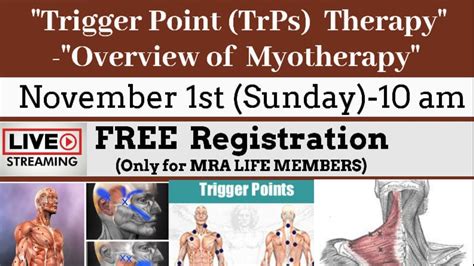 Freefor Mra Life Members Trigger Point Therapy An Overview Of
