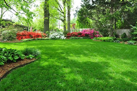 Synthetic grass turf isn't just for sports. 10 Ways To Improve Your Garden With Epsom Salt