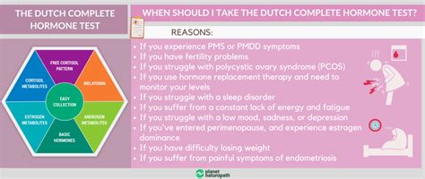Why All Women Should Take The Dutch Complete Hormone Test