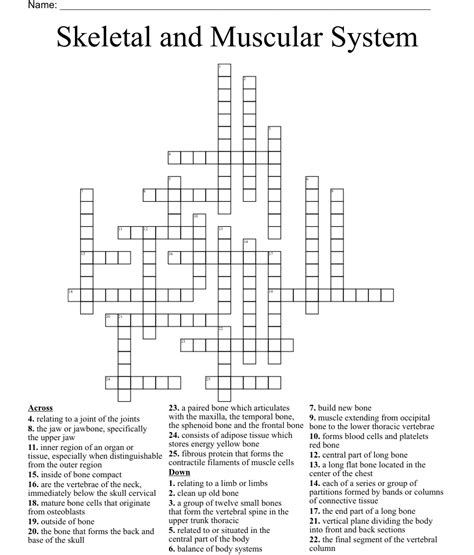 Skeletal And Muscular System Crossword Wordmint