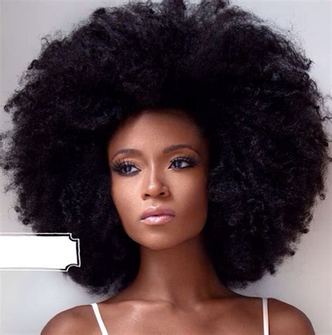 Natural Afro Hairstyles Cool Hairstyles Yaya Dacosta Curly Hair