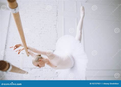 芭蕾类的年轻芭蕾舞女演员 库存图片 图片 包括有 跳舞 逗人喜爱 白种人 典雅 开会 匪盗 突出 93737921
