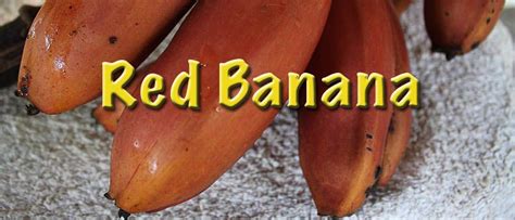 10 Astonishing Health Benefits Of Red Banana You Should Know