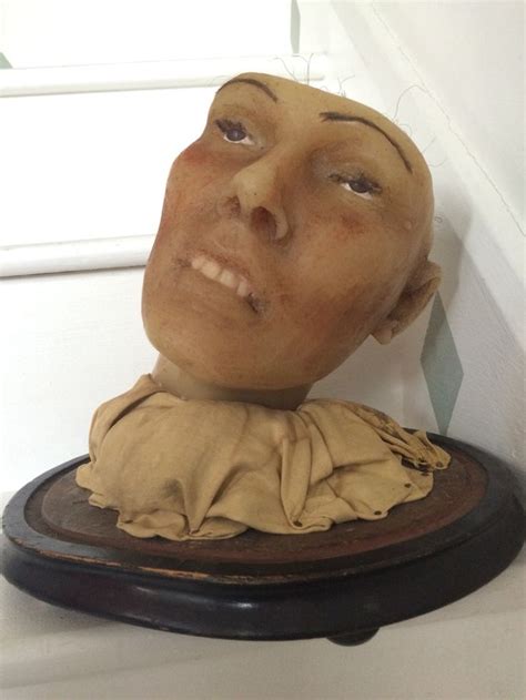Wax Anatomical Head Looks Like Jack Burman Photo Wax Effigy Antiques