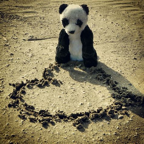 Panda Love By ~blaiddxdrwg On Deviantart Pandas Dieren