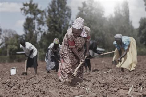 Ensuring Food Security In Kenya Is The Major Issue Through Which Lot Of Peoples Die Due To