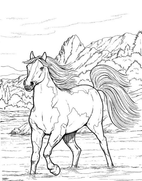 Realistic Horse Coloring Pages Coloring Pages