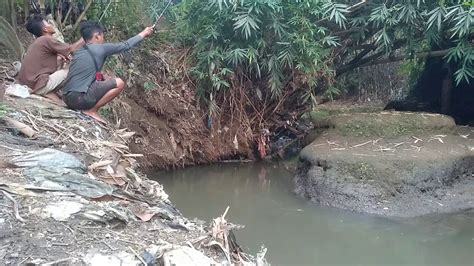 Mancing Ikan Wader Di Spot Kali Pleret YouTube