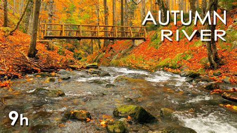 Autumn River Sounds Relaxing Nature Video Calming Nature Sounds 9